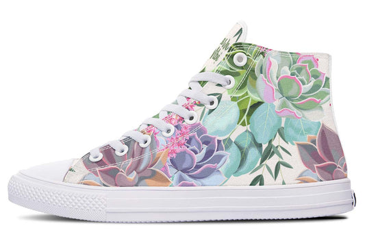 Succulent Pastel Colors