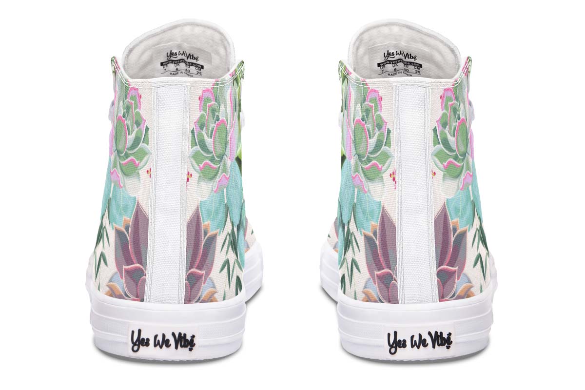 Succulent Pastel Colors