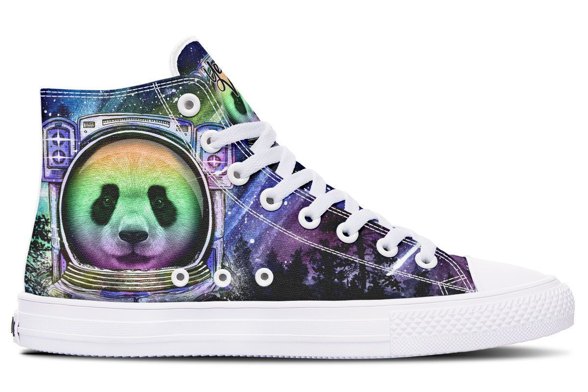 Astro Panda