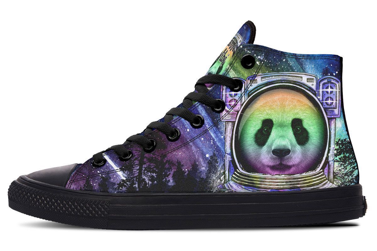 Astro Panda