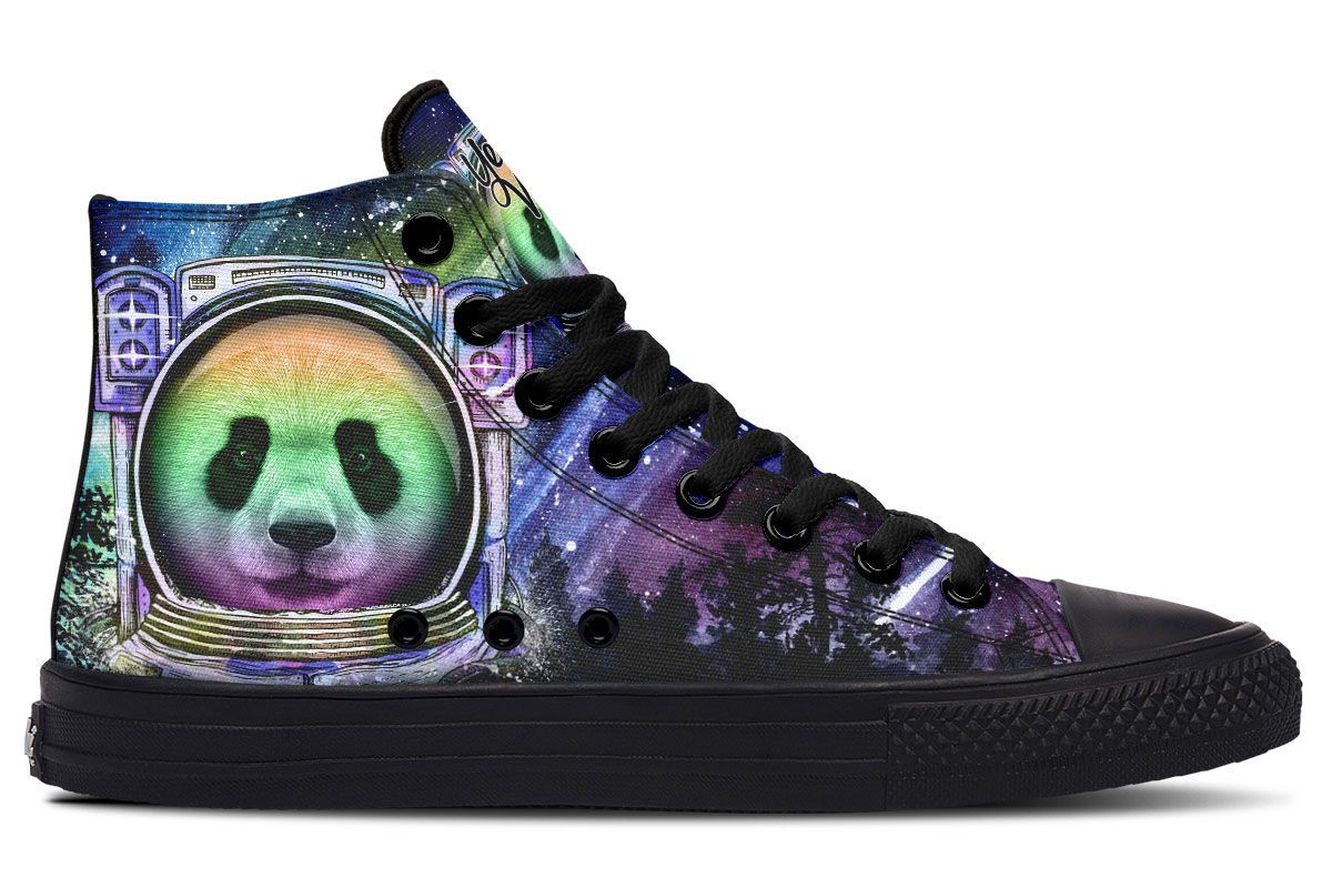 Astro Panda