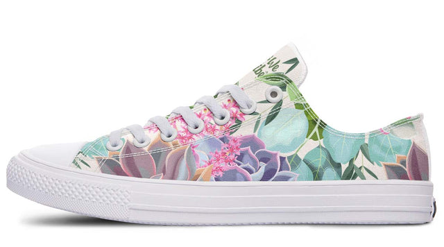 Succulent Pastel Colors