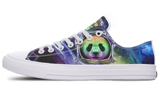 Astro Panda