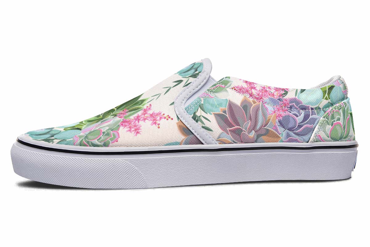 Succulents Pastel Colors