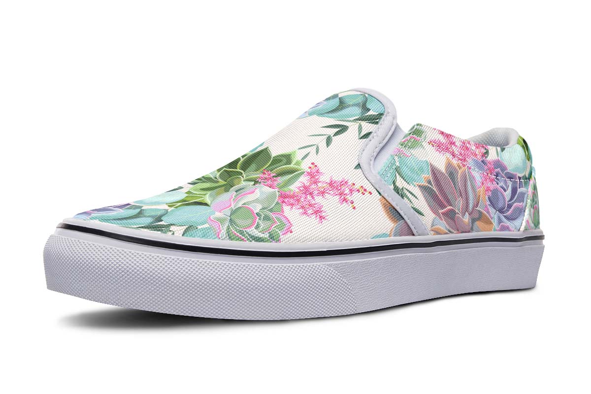 Succulents Pastel Colors