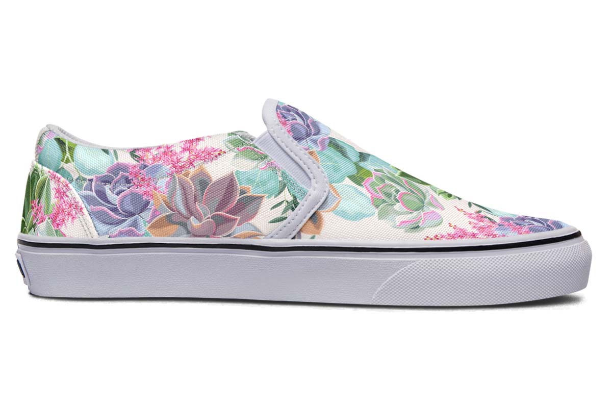 Succulents Pastel Colors