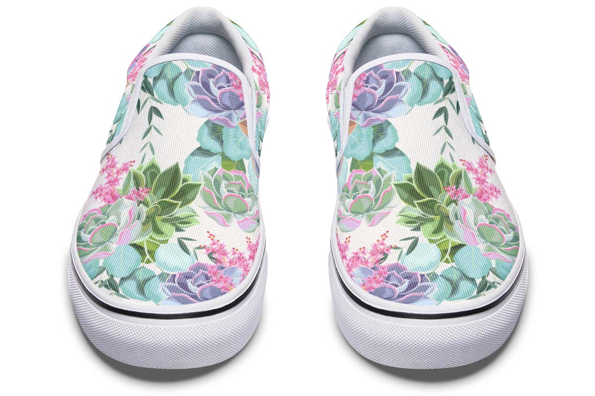 Succulents Pastel Colors