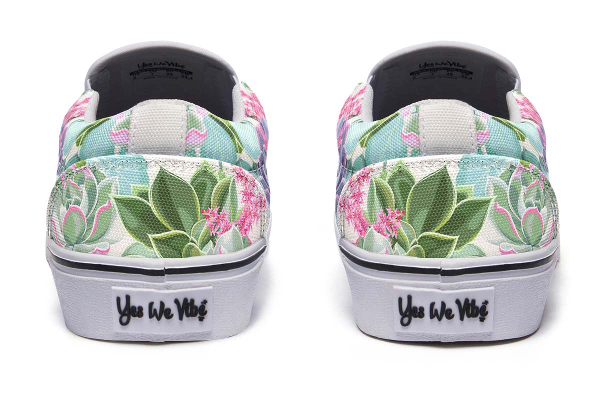 Succulents Pastel Colors