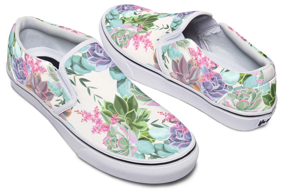 Succulents Pastel Colors