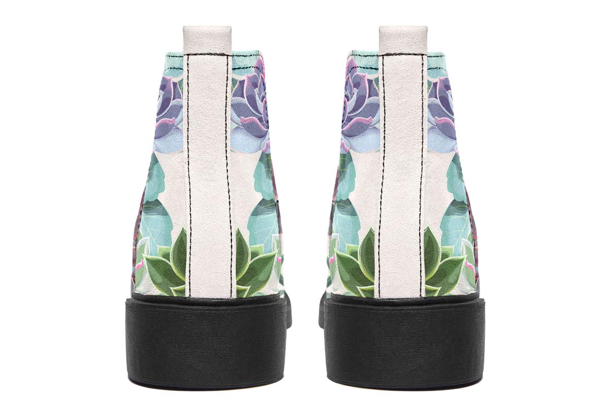 Succulents Pastel Colors