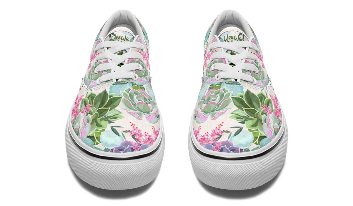 Succulent Pastel Colors